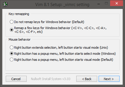 snapshot of Vim installation settings